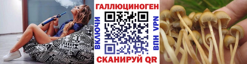 Псилоцибиновые грибы GOLDEN TEACHER  Купить  Щёлково 